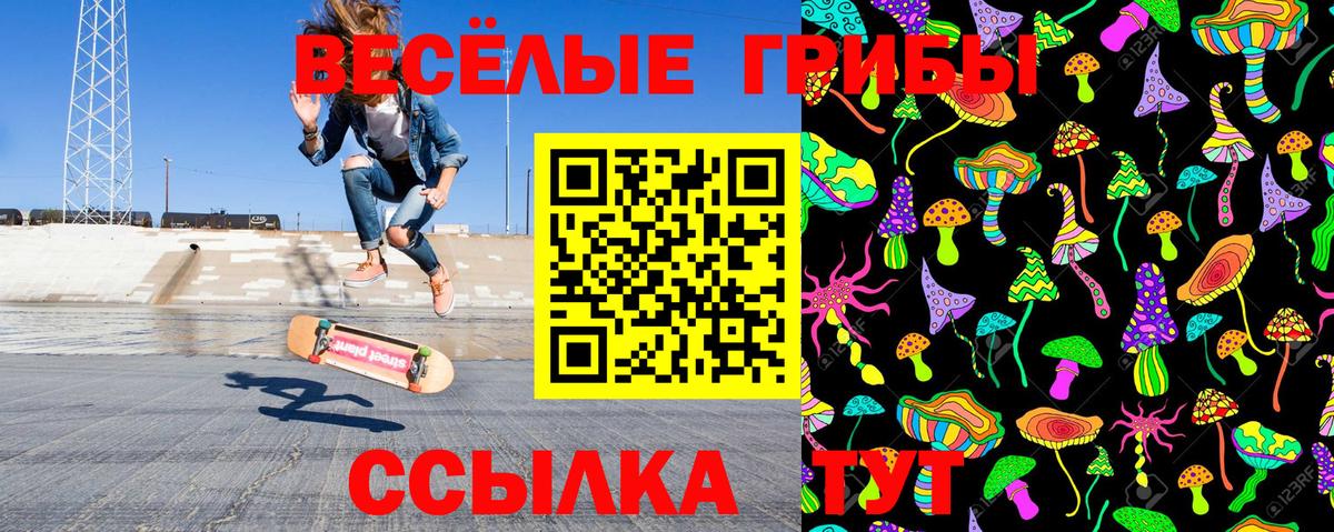 Псилоцибиновые грибы Psilocybine cubensis Благодарный