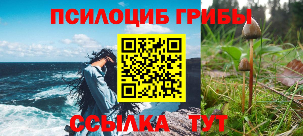 Благодарный  Галлюциногенные грибы MAGIC MUSHROOMS  Вход с VPN 
